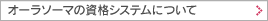 �����饽���ޤλ�ʥ����ƥ�ˤĤ���